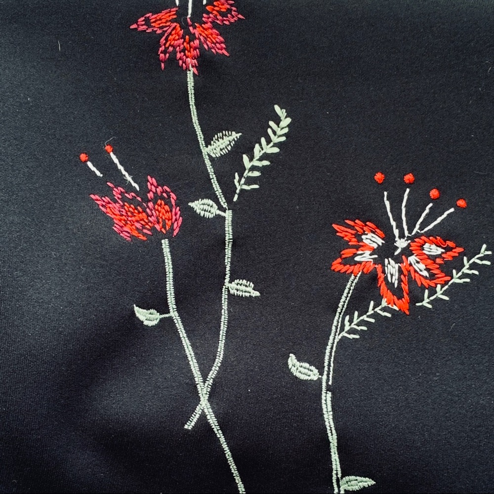 Express Embroidered Skirt - Picture 2 of 3